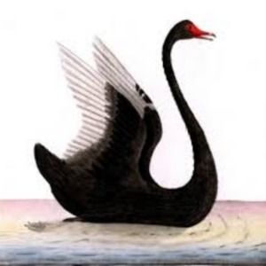 Meet your Posher, Ms.